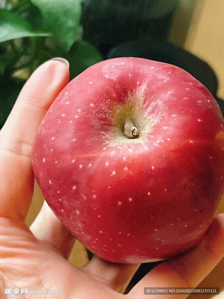 苹果