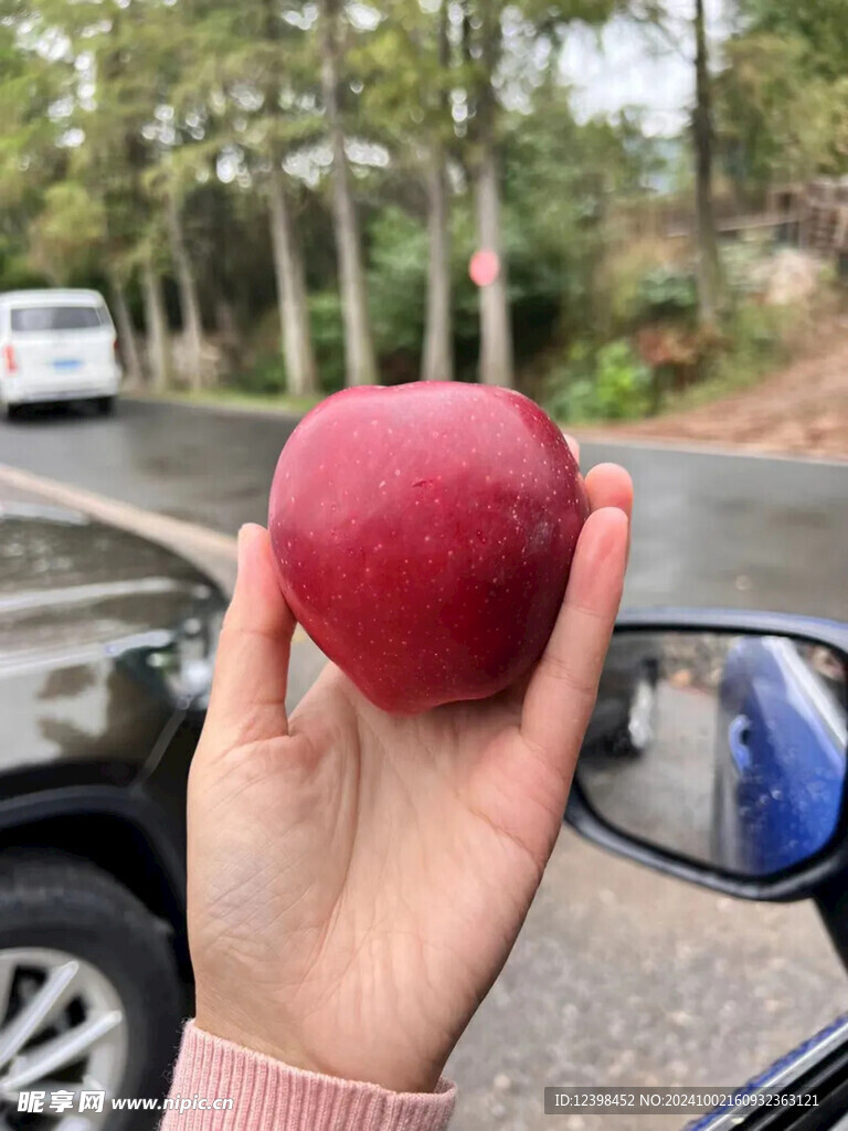 苹果