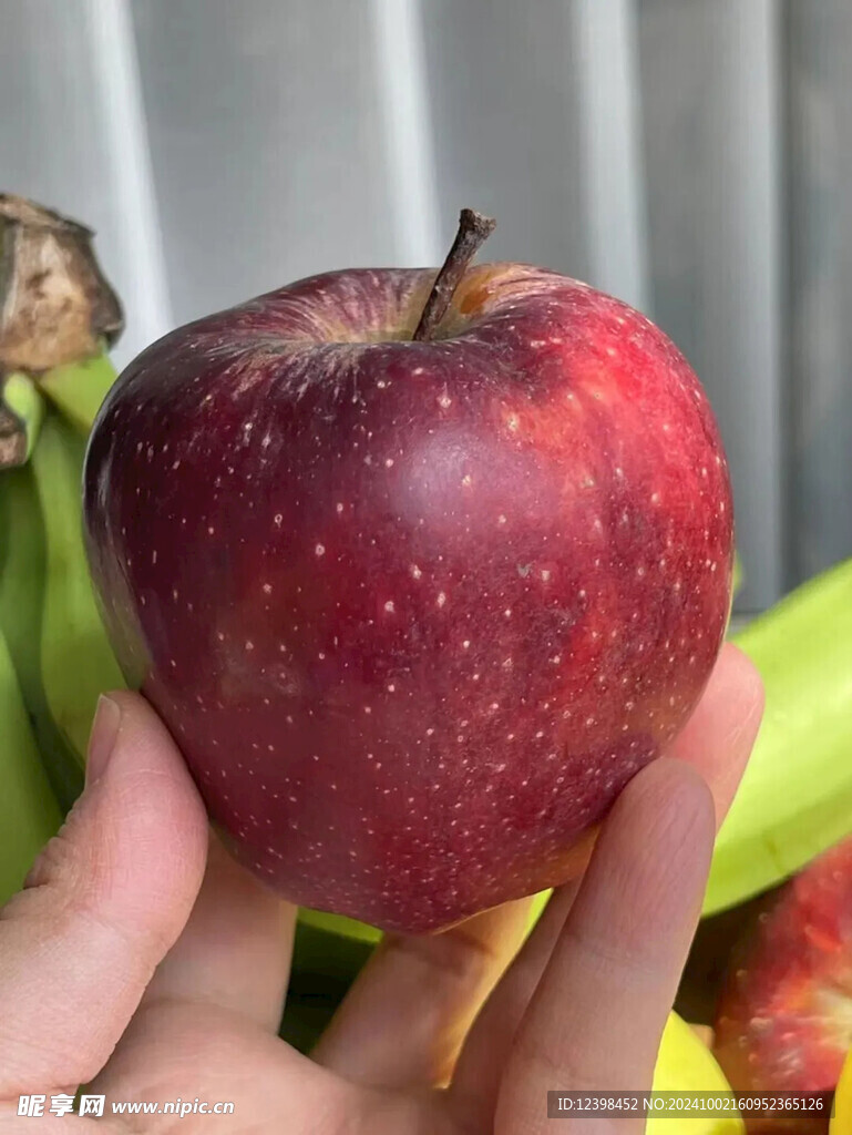 苹果