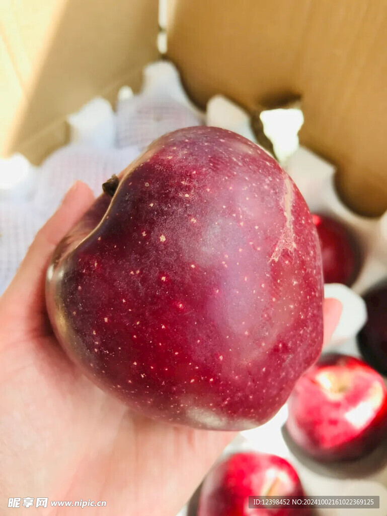 苹果