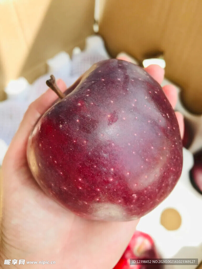 苹果