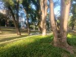 园林景观