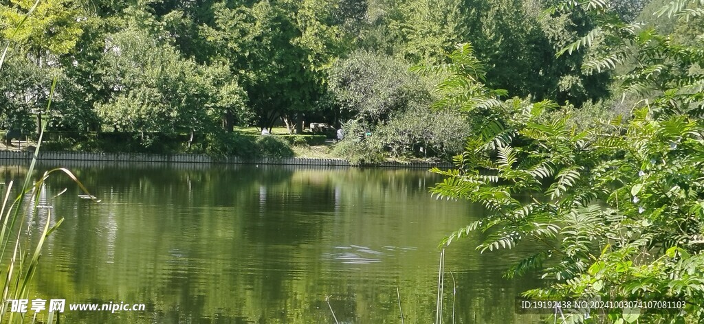 公园风景  