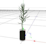 C4D模型 绿色植物