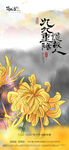 地产重阳节海报