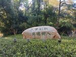 景观石