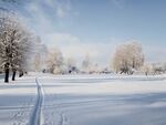 冰天雪地