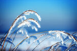 冰天雪地