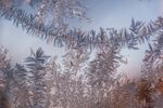 冰天雪地