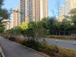 小区楼群