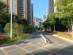 小区风光