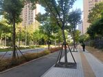 小区绿化