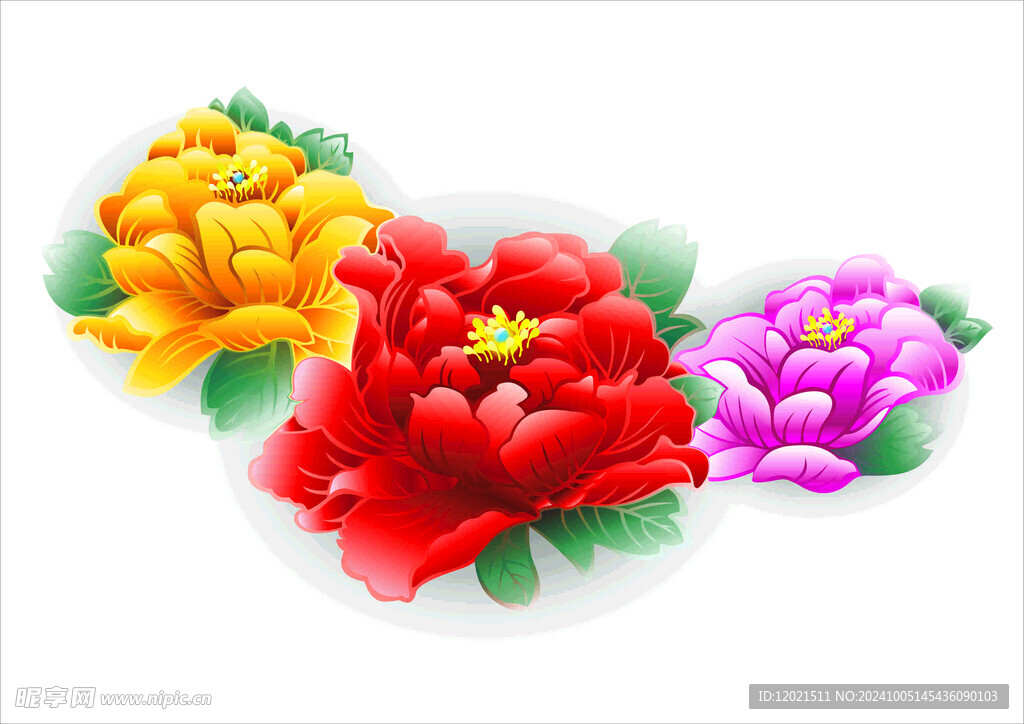 牡丹花