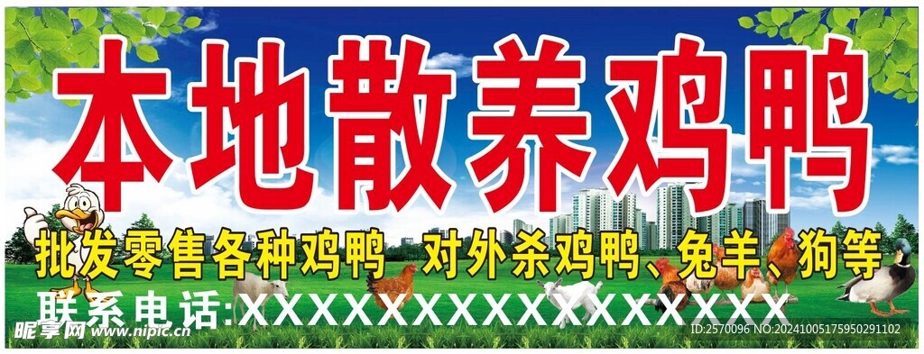 散养鸡鸭