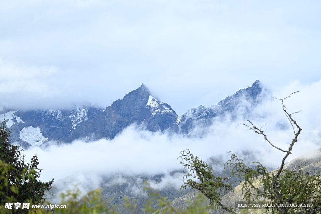 四姑娘山