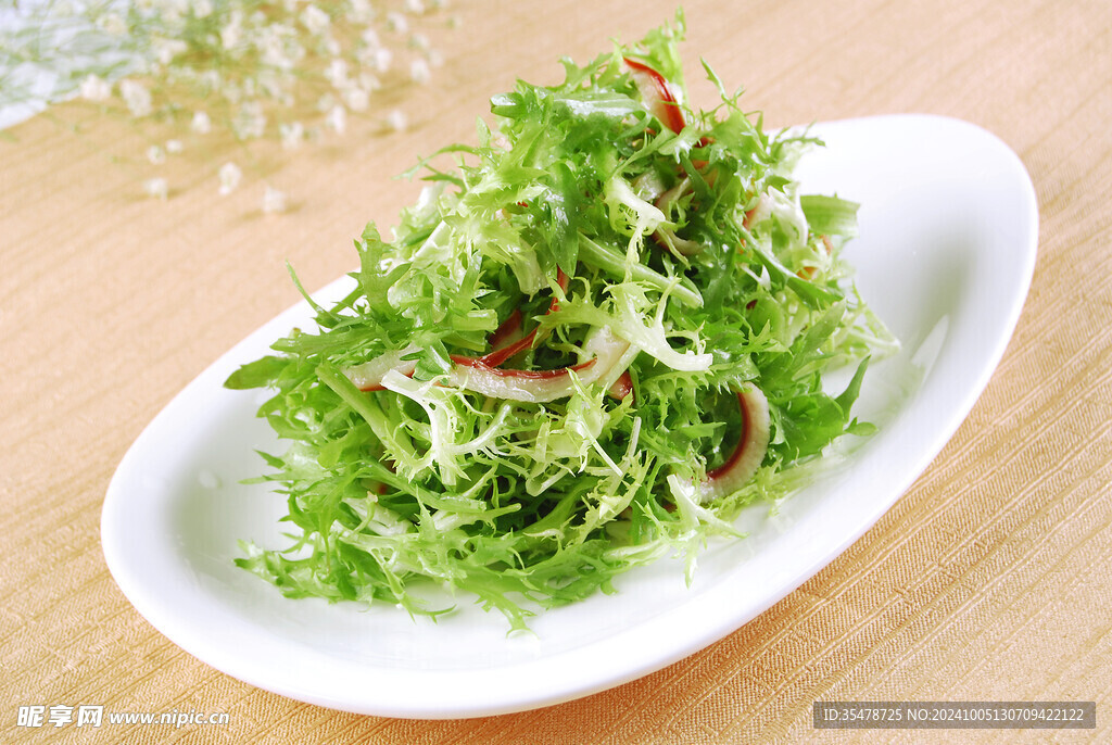 红蚌菊花菜