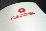 logo样机素材 