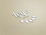 logo样机素材 