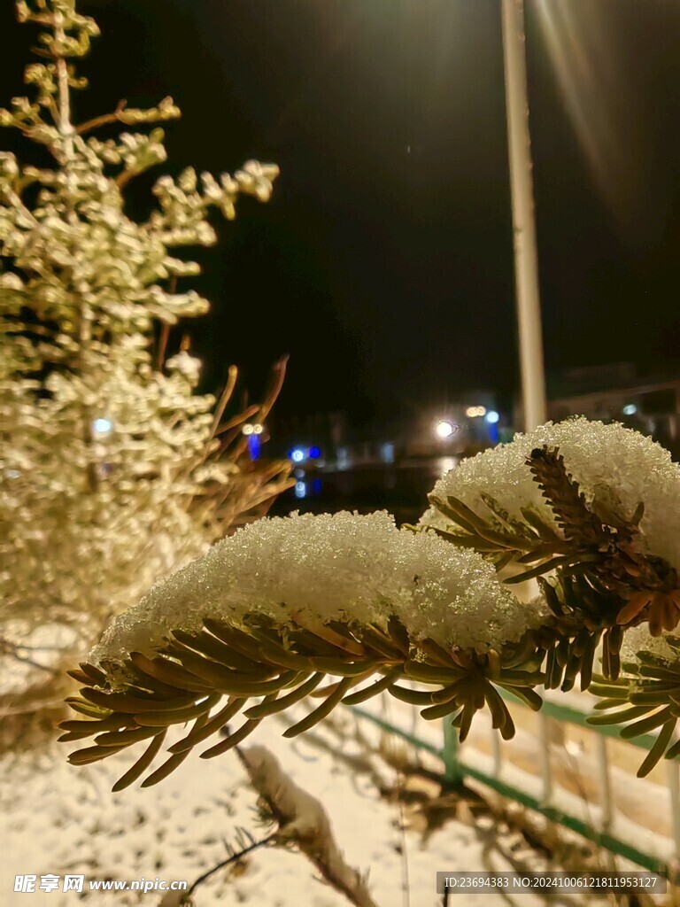 雪  