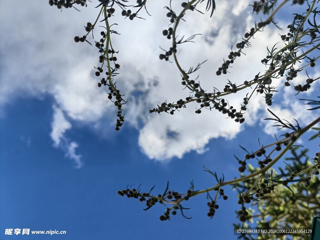 蓝天