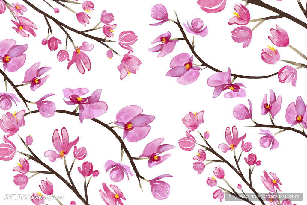 粉色兰花