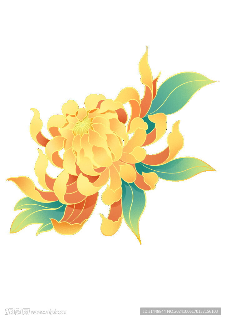 菊花