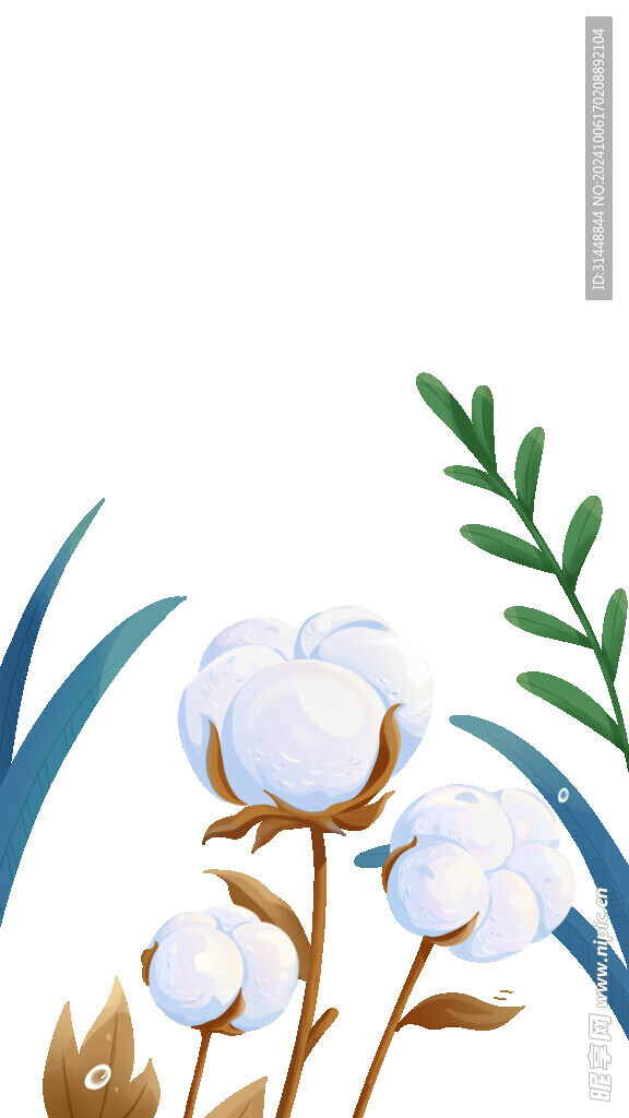 寒露