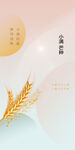 芒种节气宣传海报展板