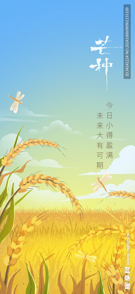 芒种节气宣传海报展板