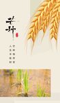 芒种节气宣传海报展板