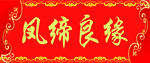 对脑