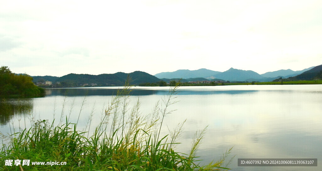 农村美景