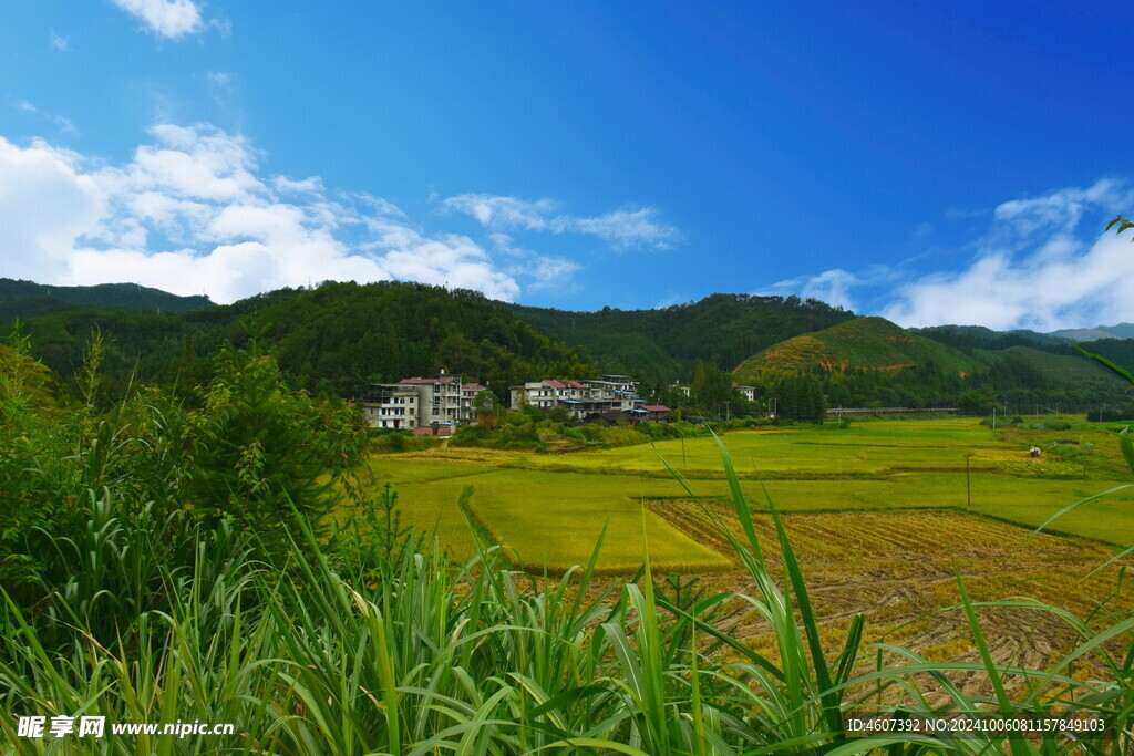 福建农村