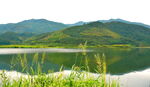农村美景