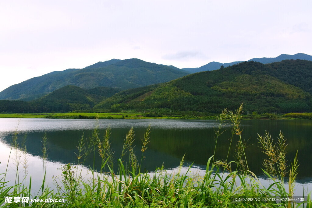 农村美景