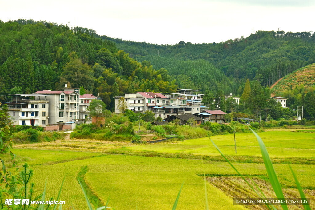 福建邵武农村