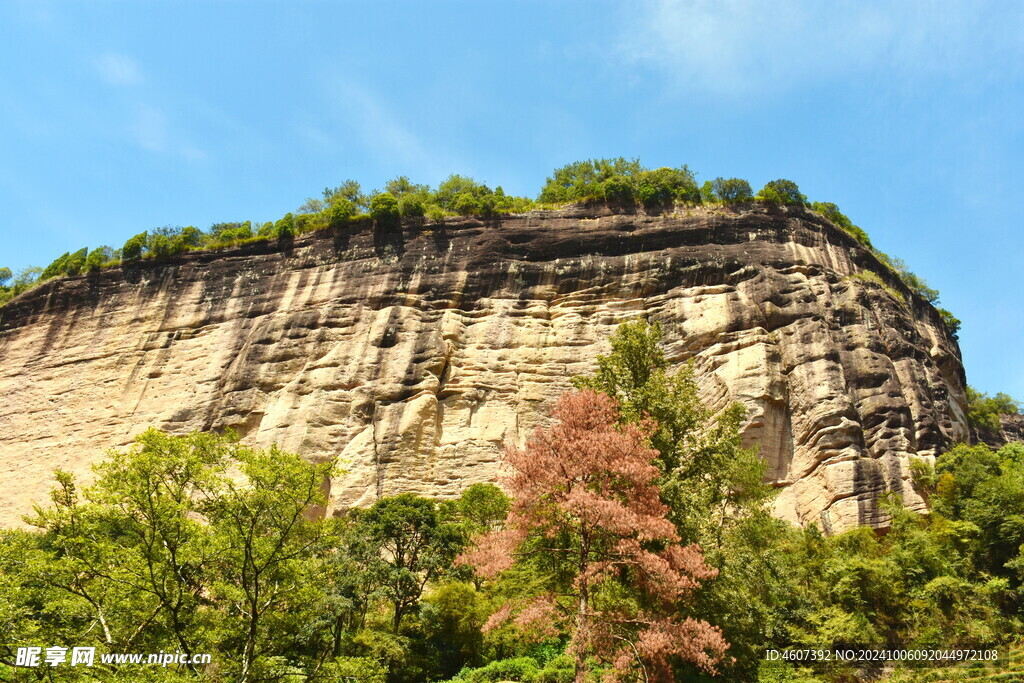 武夷山