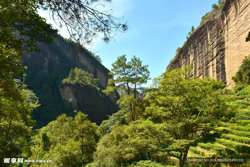 武夷山