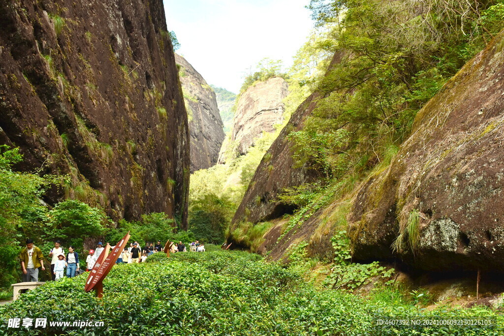 武夷山旅游