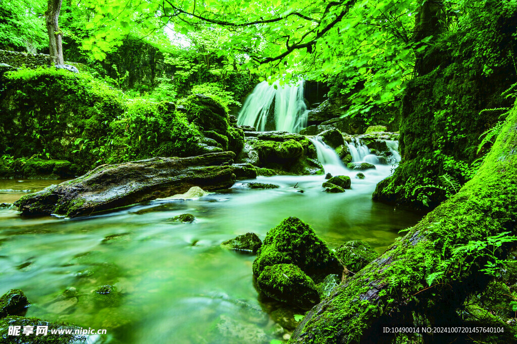 山水树林