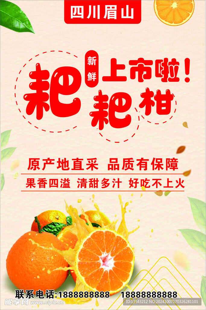 耙耙柑海报