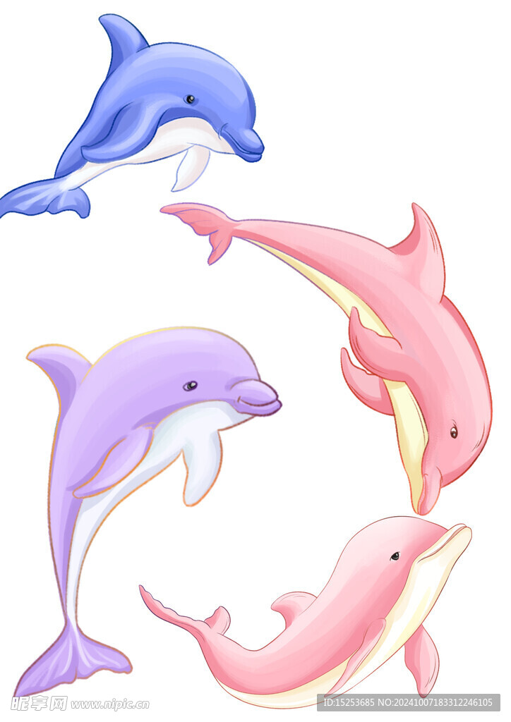 海豚