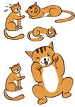 黄色小猫