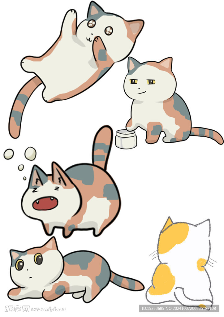 可爱猫