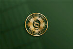LOGO样机