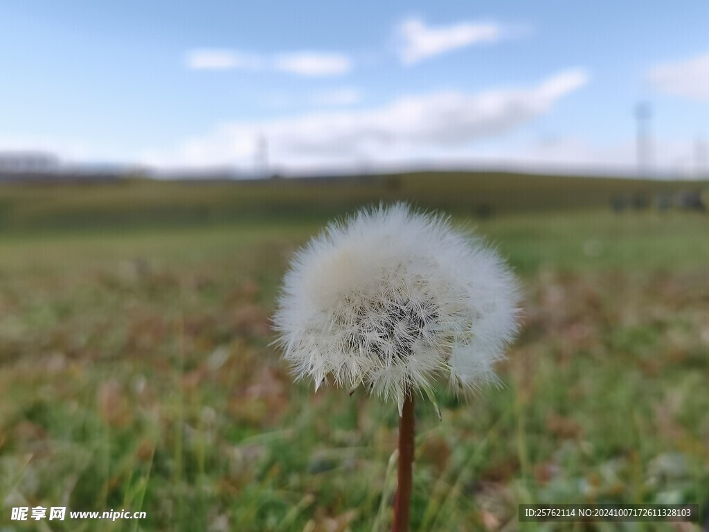 静静的等