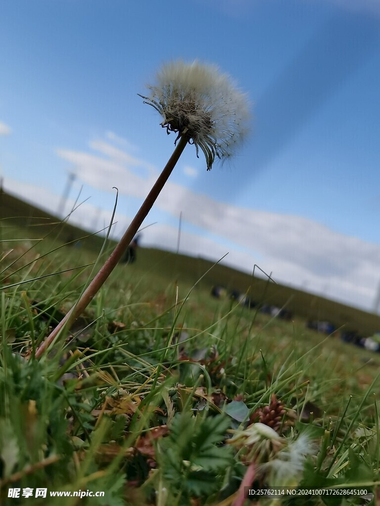 伟大的爱