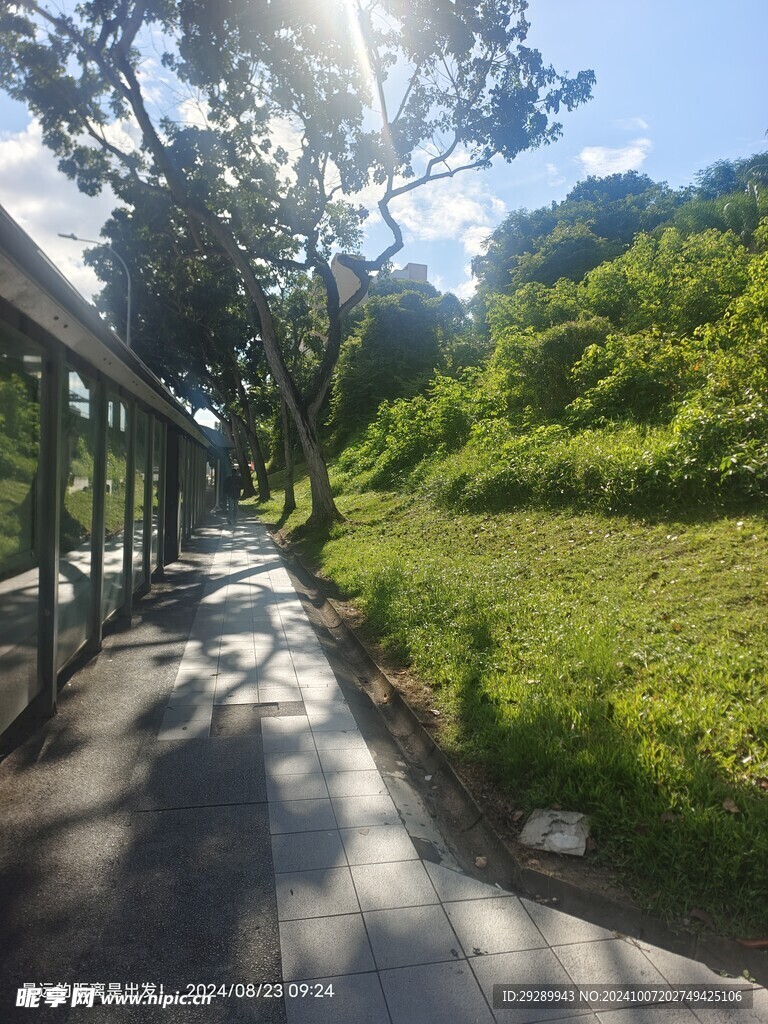 新加坡街道