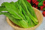 油麦菜