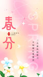 春分节气宣传海报展板